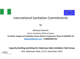 International Sanitation Commitments